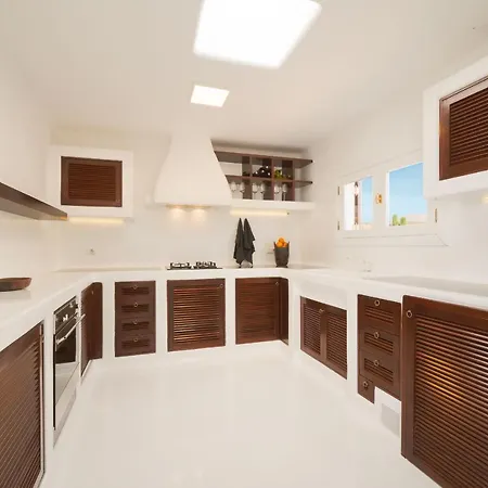 Villa Agave // Cardon
