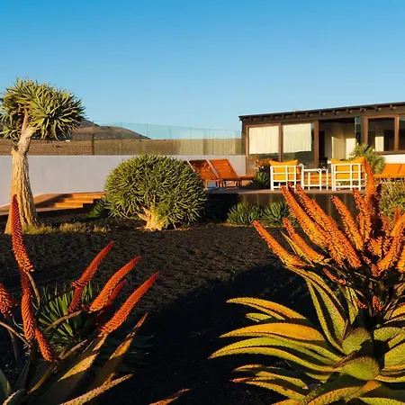 Villa Agave // Cardon *