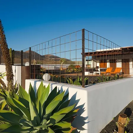 Agave // Cardon Villa *