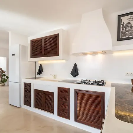 Agave // Cardon Puerto Calero