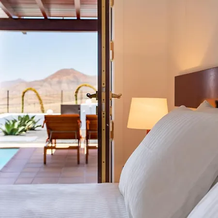 Agave // Cardon Villa Puerto Calero